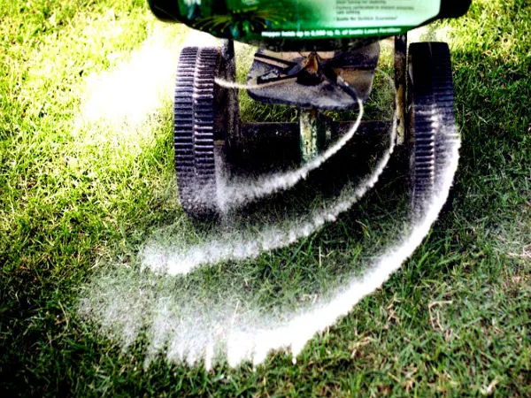 lawn fertilization